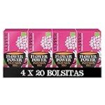 Descubre las increíbles propiedades del sauco y sus beneficios como suplemento en la alimentación Descubre las increíbles propiedades del sauco y sus beneficios como suplemento en la alimentación