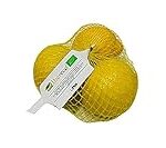 Análisis del Precio del Limón Fino: Una Alternativa Nutritiva en Suplementos de Alimentación Análisis del Precio del Limón Fino: Una Alternativa Nutritiva en Suplementos de Alimentación